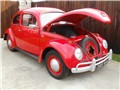 1954 LHD Beetle