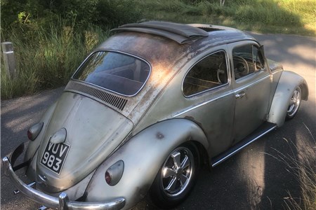 Og ragtop beetle 