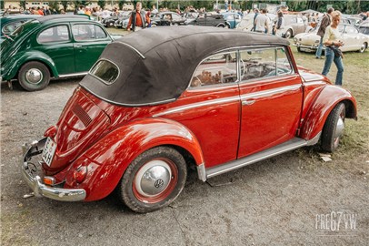 IMG_3900.jpg