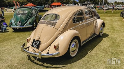 IMG_2684_jpg.jpg