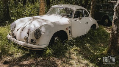 IMG_2703_jpg.jpg