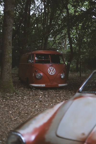 IMG_8695_edit.jpg