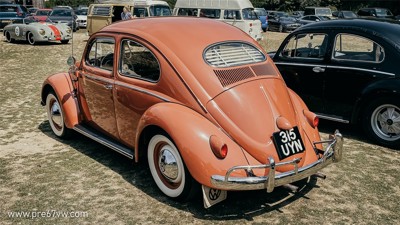 5-IMG_7098_jpg.jpg