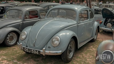 IMG_3079.jpg