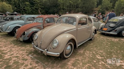 IMG_3081.jpg