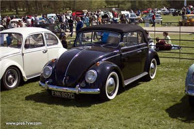 IMG_8625.jpg