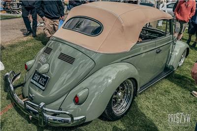 IMG_4997_jpg.jpg