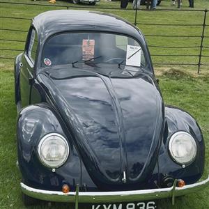 1947 Export Sedan at Stanford Hall
.
#pre67vw #vintagevw #volksauto #splitbeetle #splitbug #stanfordhallvw